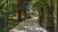 12 Philip Street, Coalgate - Carousel 15