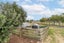 240 Waotu Road, Putaruru - Carousel 21