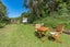 60 Forbury Road, Forbury, Dunedin - Carousel 36