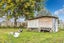 53 Hairini Road, Kihikihi, Te Awamutu - Carousel 30