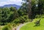 17 Patricia Place, Katikati, Katikati - Carousel 11