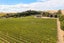 489 Brookby Road, Blenheim - Carousel 22