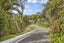 158 Shaw Road, Oratia, Auckland - Carousel 20