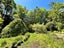 1097 Milton Highway, Lovells Flat - Carousel 22