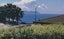 20 Governor Grey Road, Snells Beach, Snells Beach - Carousel 4