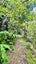 1695 Wyuna Bay Road, Wyuna Bay, Coromandel - Carousel 40