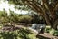 323 Point Wells Road, Point Wells, Warkworth - Carousel 25