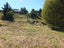35 Wylie Road, Foxton Beach, Foxton - Carousel 13