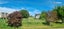 133 Dunback Road, Palmerston, Palmerston - Carousel 9