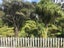 28 Kinleith Way, Albany, Auckland - Carousel 12