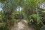 563 Grenada Street, Papamoa Beach, Papamoa - Carousel 27
