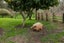 1039 Paradise Valley Road, Ngongotaha Valley - Carousel 35