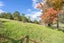 122 Jordan Valley Road, Kamo - Carousel 24