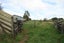 991 East Road, Toko, Stratford - Carousel 22