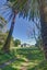 315 Rangitatau West Road, Maxwell, Whanganui, Manawatu / Whanganui - Carousel 24