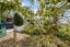 698 Wharehine Road, Wharehine, Wellsford - Carousel 24