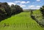 81 Taylor Road, Waimauku, Waimauku - Carousel 41