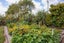 468 Stoney Creek Road, Kelvin Grove, Palmerston North - Carousel 42
