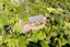 8385C S HWAY 35, Waihau Bay, Te Kaha - Carousel 2