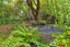 465 Old West Coast Road, Templeton, Christchurch - Carousel 25