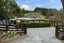 1039 Paradise Valley Road, Ngongotaha Valley - Carousel 29