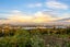 14 Tui Glen Road, Birkenhead, Auckland - Carousel 5