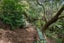 1125 Whangaparaoa Road, Tindalls Beach, Whangaparaoa - Carousel 13