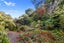 38 Blackberry Way, Welcome Bay, Tauranga - Carousel 38