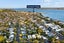 112 Calliope Road, Stanley Point, Auckland - Carousel 3