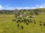 1313 Whangaripo Valley Road, Whangaripo, Wellsford - Carousel 5