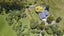353 North Manakau Road, Manakau - Carousel 28