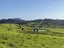 0 Maungakaramea Road, Maungakaramea, Maungakaramea - Carousel 26