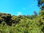 0 Te Karoa Road, Peria, Kaitaia - Carousel 3