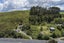 3820 State Highway 1, Towai, Hikurangi - Carousel 11