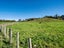 495A Crawford Road, Minden, Tauranga - Carousel 31