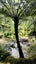 275 Lillis Lane, Coromandel, Coromandel - Carousel 32