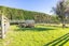283 Raynes Road, Hamilton - Carousel 42