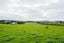 0 Sail Rock Road, Ruakaka, Ruakaka - Carousel 6
