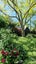 90A Ngataringa Road, Devonport, Auckland - Carousel 33