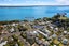 1/475 Point Chevalier Road, Point Chevalier, Auckland - Carousel 14