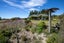 215 Reserve Road, Balcairn - Carousel 5