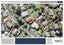 1 Titchener Street, New Lynn, Auckland - Carousel 4