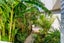 7A Justin Place, Te Atatu Peninsula, Auckland - Carousel 33