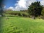 67 Conroy Road, Waiuku - Carousel 3