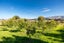 17 Bakers Road, Waimate, Waimate, Canterbury - Carousel 15
