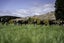 0 Taieri Peak Road, Palmerston, Palmerston - Carousel 13