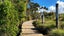 11 Oioi Road, Hobsonville, Auckland - Carousel 25