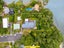 632 Blockhouse Bay Road, Blockhouse Bay, Auckland - Carousel 28