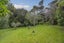 700 Colville Road, Amodeo Bay, Coromandel - Carousel 26