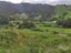 0 Peria Road, Peria, Kaitaia - Carousel 10